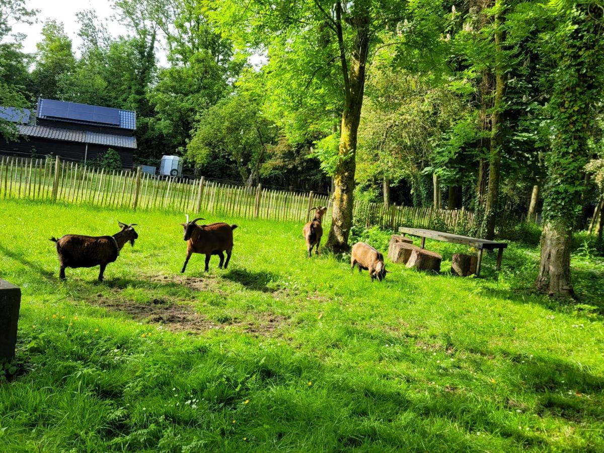 Pastorie Waaxens Acomodação com café da manhã Exterior foto